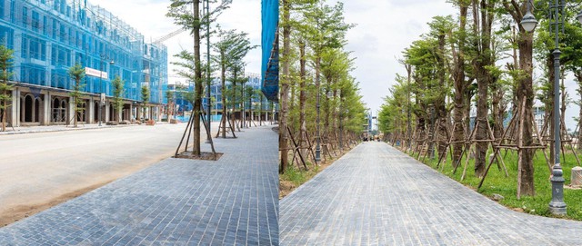 Noble Palace Tay Thang Long tăng tốc triển khai, sẵn sàng bàn giao từ quý 3/2025 - Ảnh 3