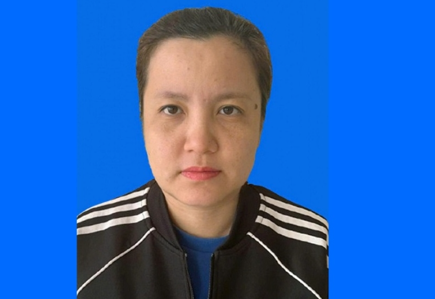 Đề nghị truy tố Hà Thanh Hằng - Ảnh 1