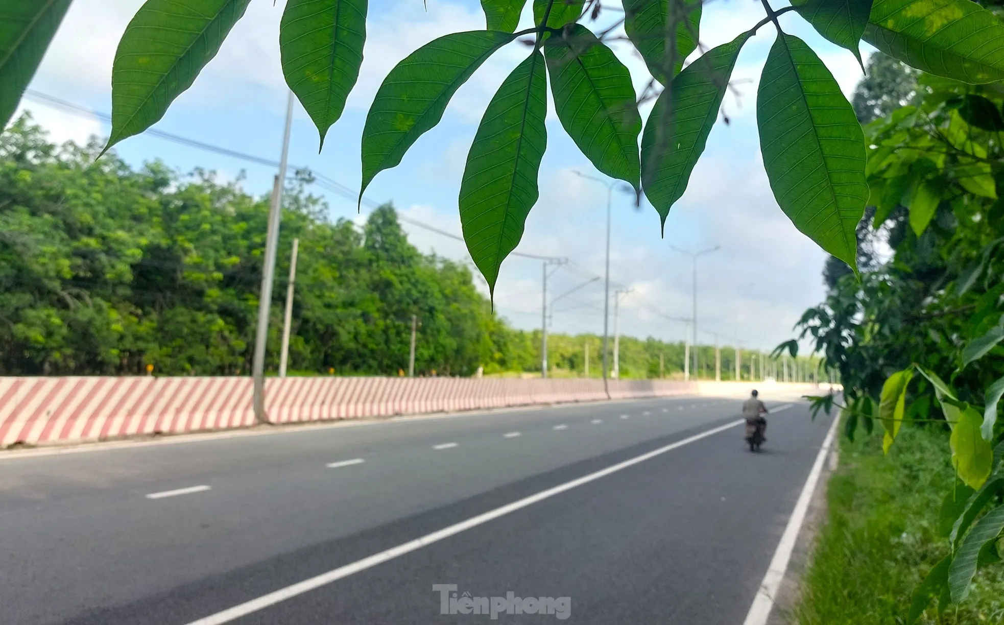 Ngắm tuyến đường băng qua rừng cao su nối Bình Dương với Tây Ninh vừa lên 6 làn - Ảnh 9