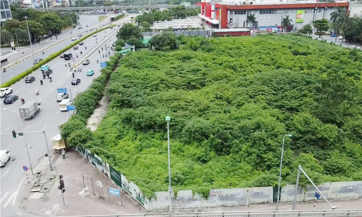 Dự án tháp tài chính gần 4.000 tỷ đồng ở Hà Nội 'hoá rừng' sau 20 năm ôm đất lãng phí - Ảnh 3