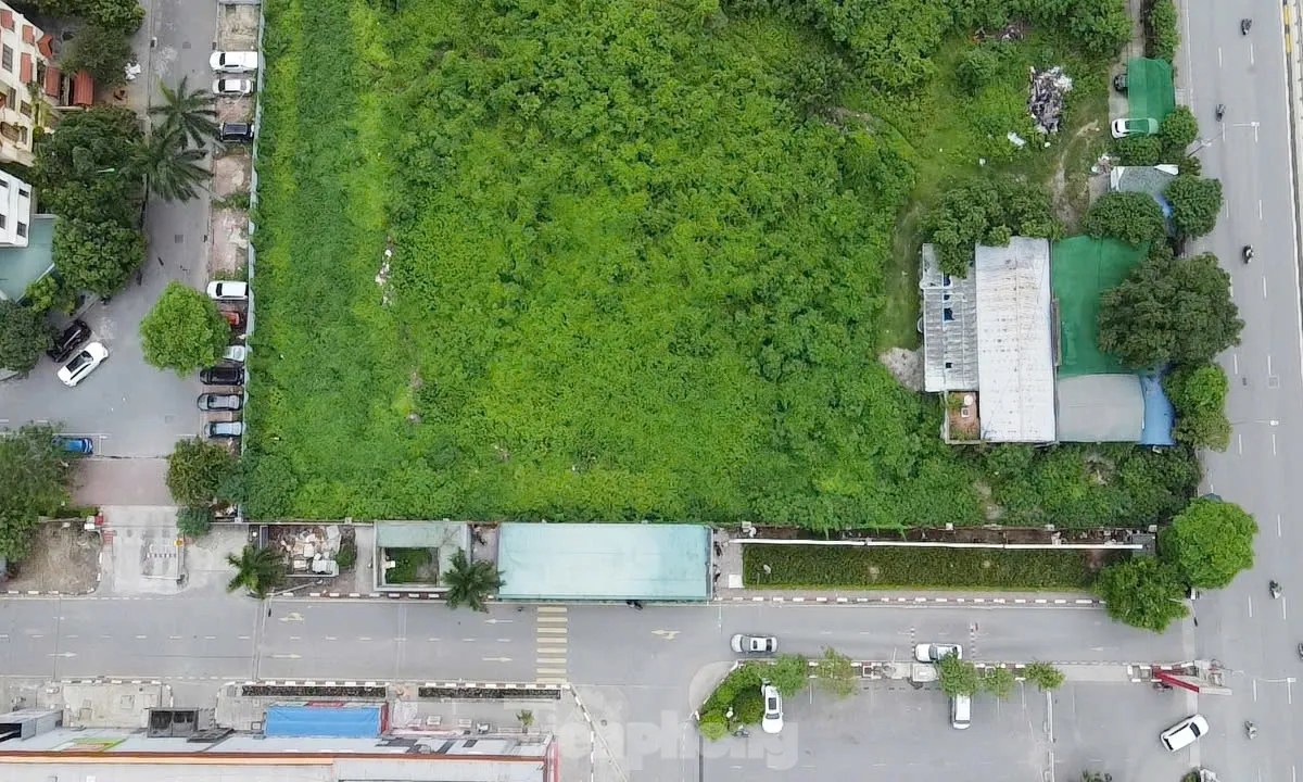 Dự án tháp tài chính gần 4.000 tỷ đồng ở Hà Nội 'hoá rừng' sau 20 năm ôm đất lãng phí - Ảnh 6