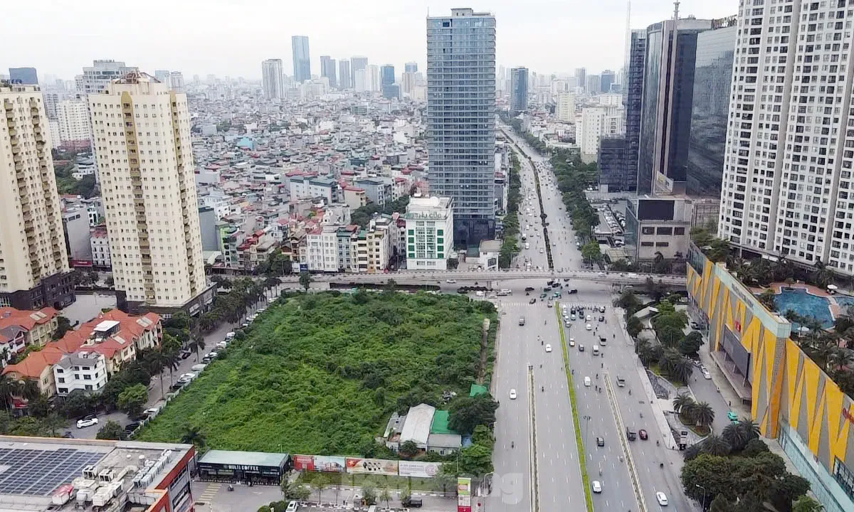 Dự án tháp tài chính gần 4.000 tỷ đồng ở Hà Nội 'hoá rừng' sau 20 năm ôm đất lãng phí - Ảnh 1