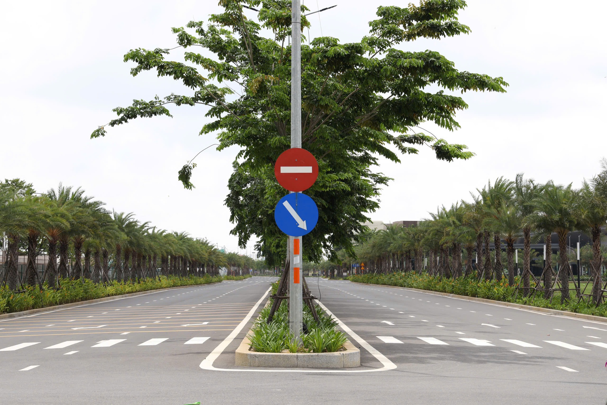 Đường mới "chia lửa" cho nút giao An Phú và khu đông TP HCM - Ảnh 2