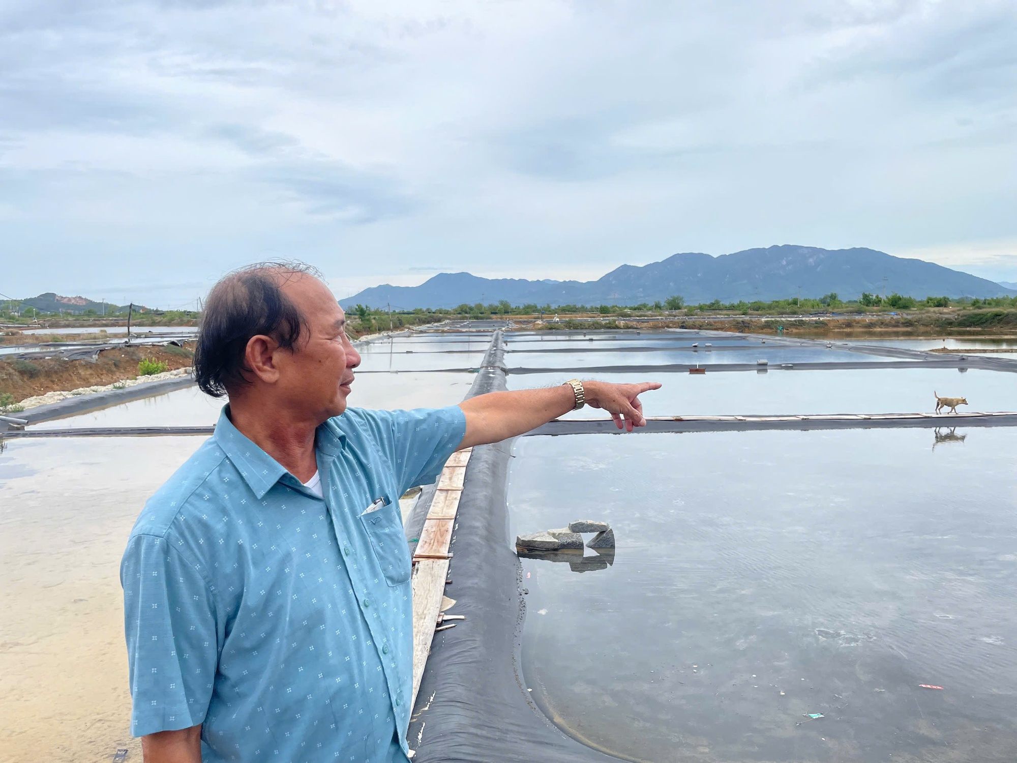 Thu hồi đất giá thấp để doanh nghiệp làm khu công nghiệp, diêm dân khiếu nại - Ảnh 2
