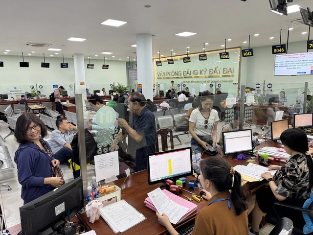 TP.HCM tập huấn cấp sổ hồng cho 168 phường, xã sau sáp nhập - Ảnh 1