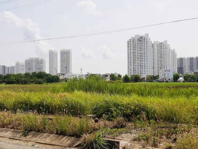 TP.HCM rà soát thu hồi dự án chậm đưa đất vào sử dụng - Ảnh 1