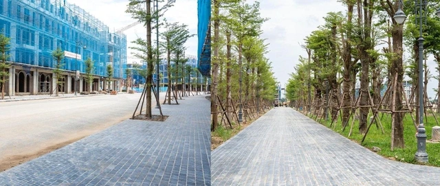 Noble Palace Tây Thăng Long tăng tốc về đích, sẵn sàng bàn giao từ quý 3/2025 - Ảnh 4