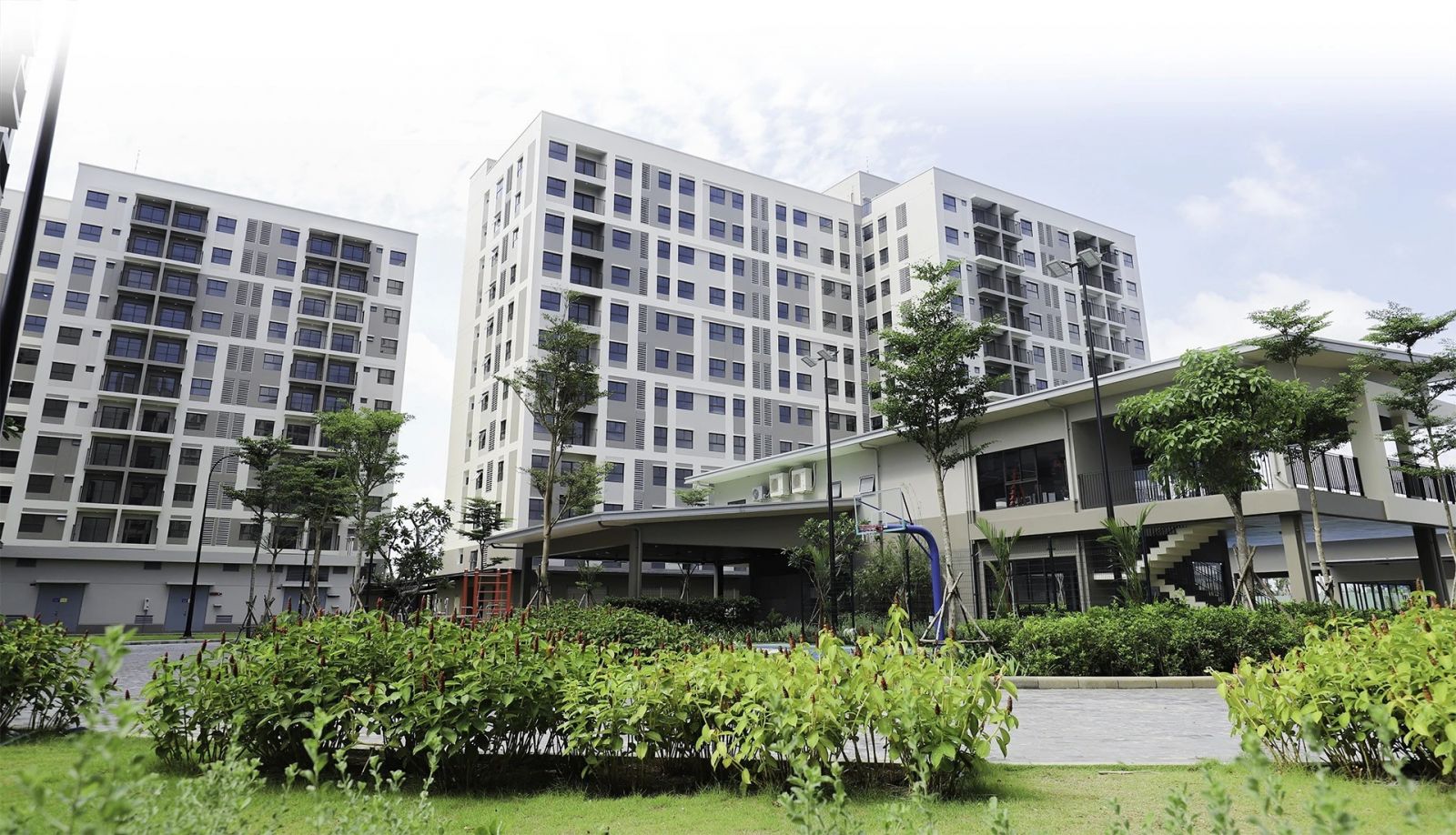 Cuộc đua xây căn hộ "giá mềm" của các doanh nghiệp bất động sản tại Long An (Tây Ninh) - Ảnh 1