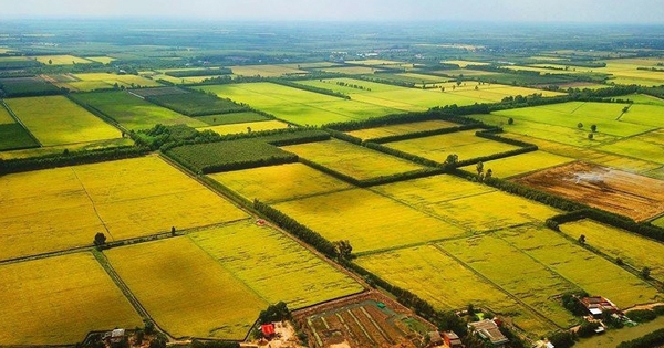 Đề xuất quy định hướng dẫn việc kéo dài thời hạn miễn thuế sử dụng đất nông nghiệp