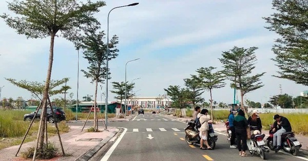 Bộ Xây dựng: Sốt đất tại Bắc Ninh, Phú Thọ, Ninh Bình, Hưng Yên, Hải Phòng, Đồng Nai... trước sáp nhập chủ yếu là giao dịch đầu cơ