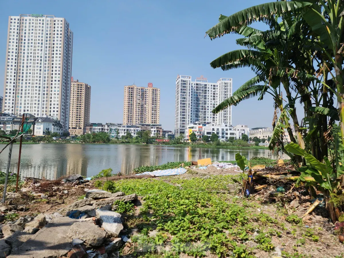 Các hồ lớn ở phường Định Công đang bị 'biến dạng' - Ảnh 12