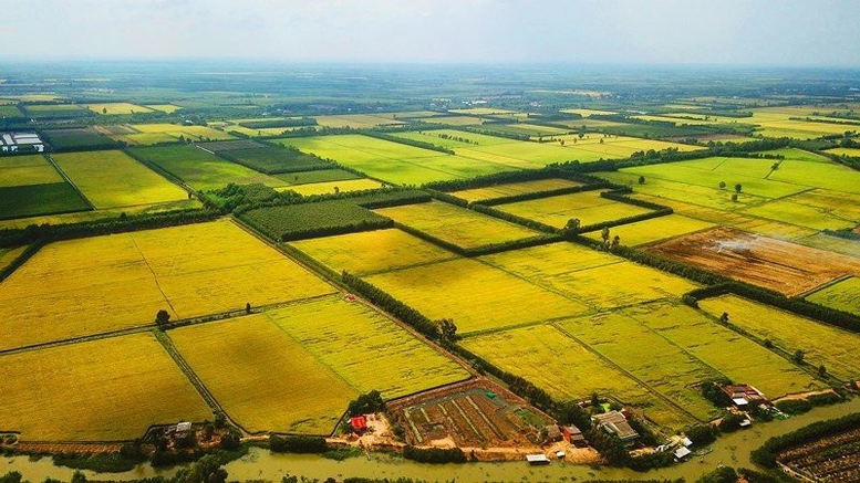 Đề xuất quy định hướng dẫn việc kéo dài thời hạn miễn thuế sử dụng đất nông nghiệp - Ảnh 1