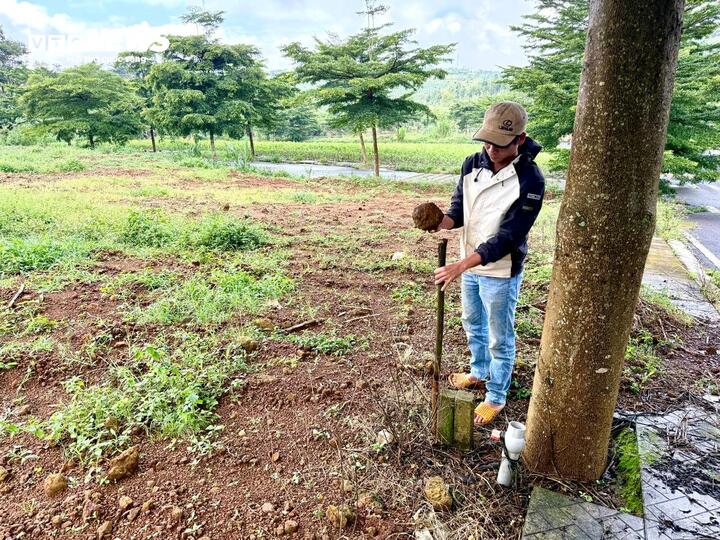 Đất nền Bảo Lộc rục rịch 'rã đông' sau 3 năm trầm lắng - Ảnh 6