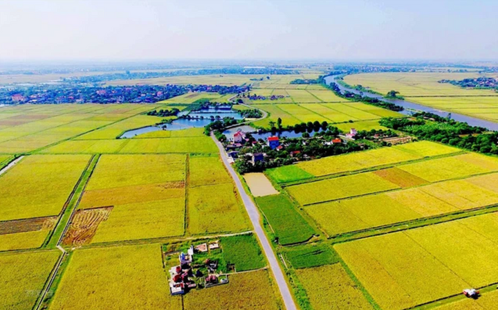 Chuyển đất nông nghiệp sang đất ở: Hoảng hốt tiền sử dụng đất cao đột biến - Ảnh 1