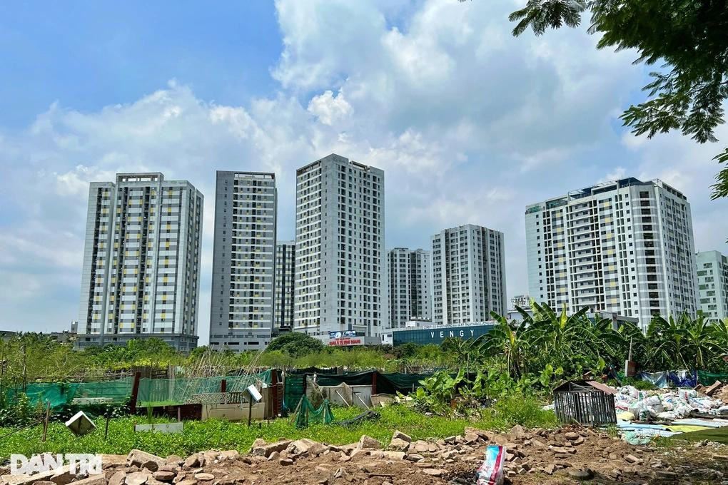 TS. Lê Xuân Nghĩa: Muốn giá nhà hạ nhiệt, giải pháp không nằm ở việc đánh thuế - Ảnh 3