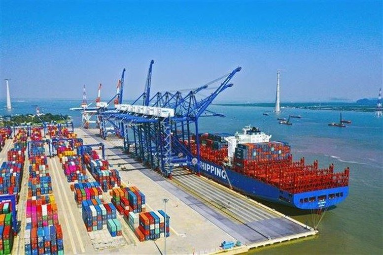 Chấp thuận chủ trương đầu tư xây dựng 04 bến cảng container mới tại Hải Phòng - Ảnh 1