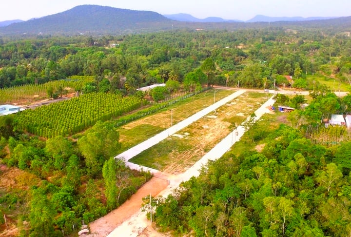 Chuyển đất nông nghiệp sang đất ở: Hoảng hốt tiền sử dụng đất cao đột biến - Ảnh 2