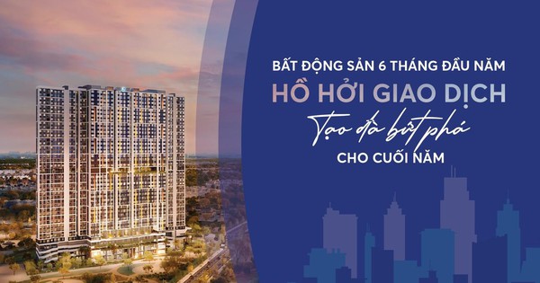 BHS R&D: Chung cư giao dịch sôi động nửa đầu 2025, đất nền tỉnh lẻ lên ngôi cuối năm