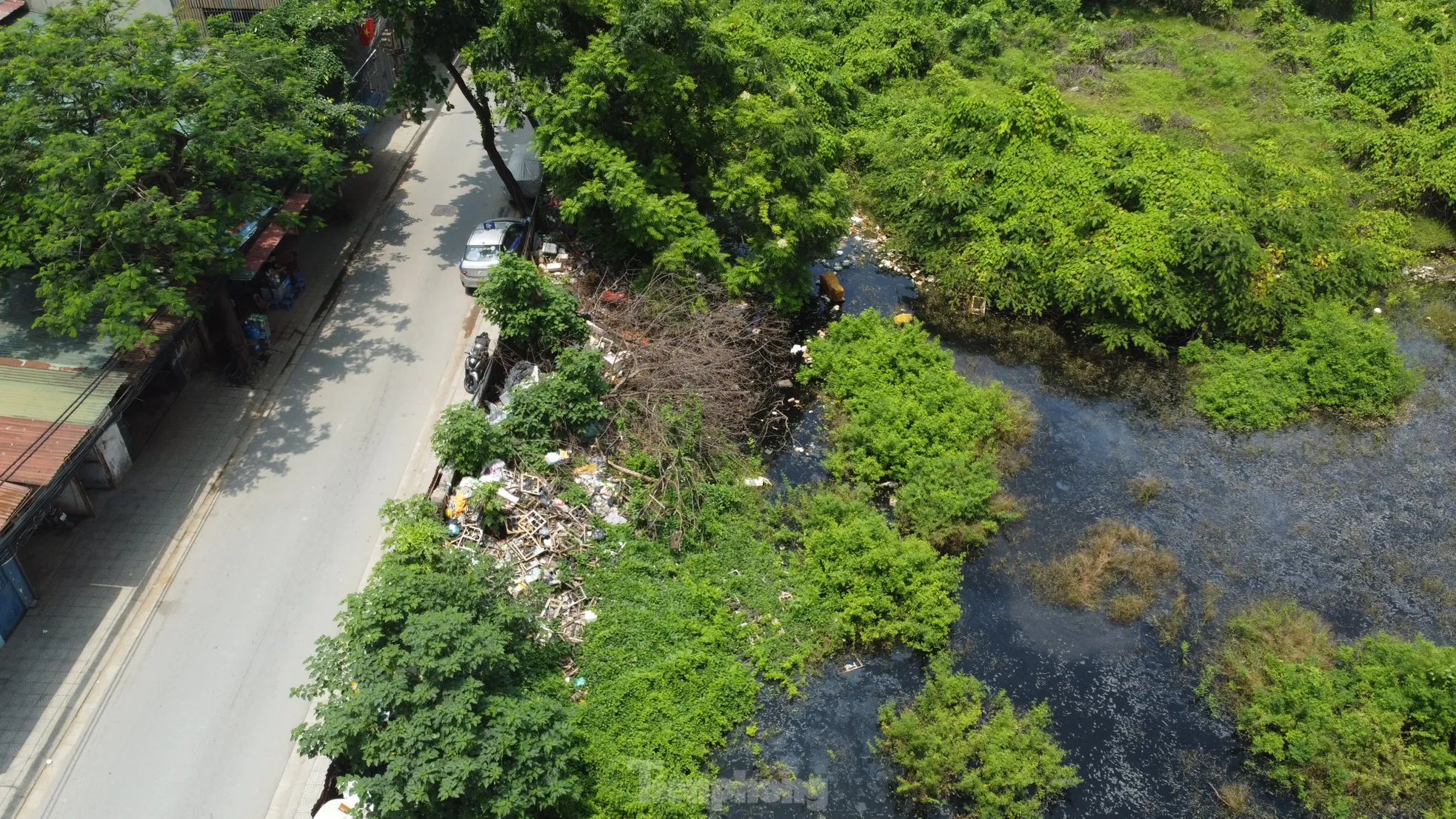 Các hồ lớn ở phường Định Công đang bị 'biến dạng' - Ảnh 6