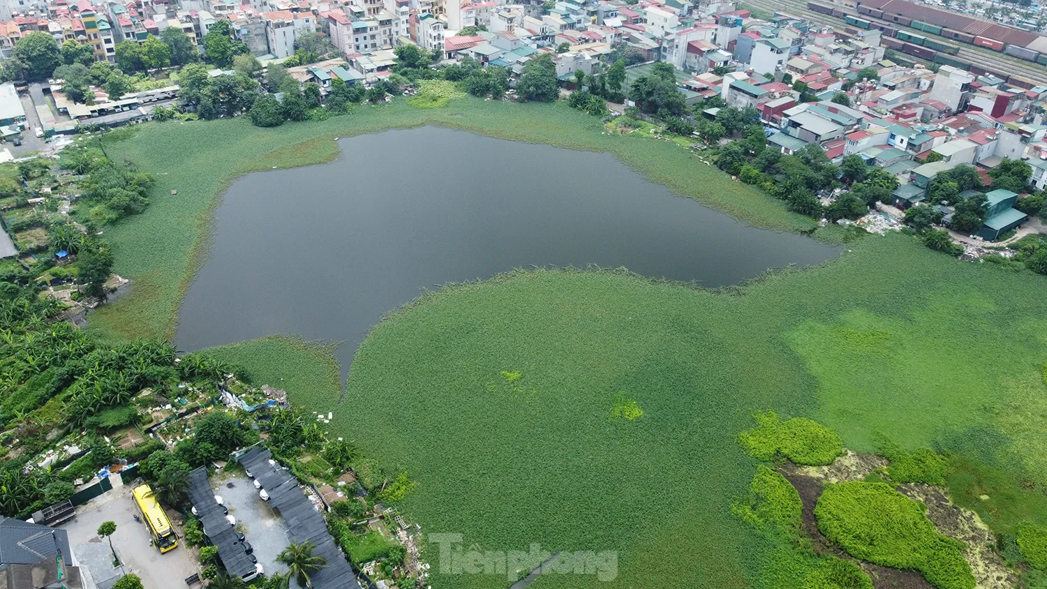 Các hồ lớn ở phường Định Công đang bị 'biến dạng' - Ảnh 7