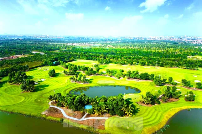 ‘Siêu phường’ ở TPHCM có 7 khu công nghiệp, 2 sân golf - Ảnh 4