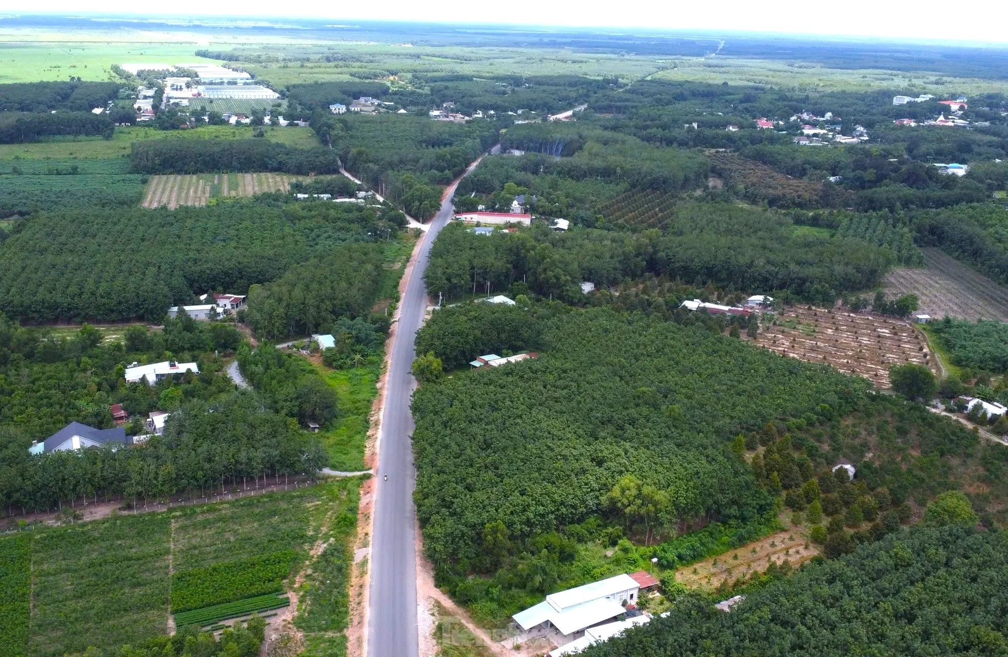 Ngắm tuyến đường như dải lụa xuyên rừng nối các tỉnh, thành miền Đông Nam bộ - Ảnh 10
