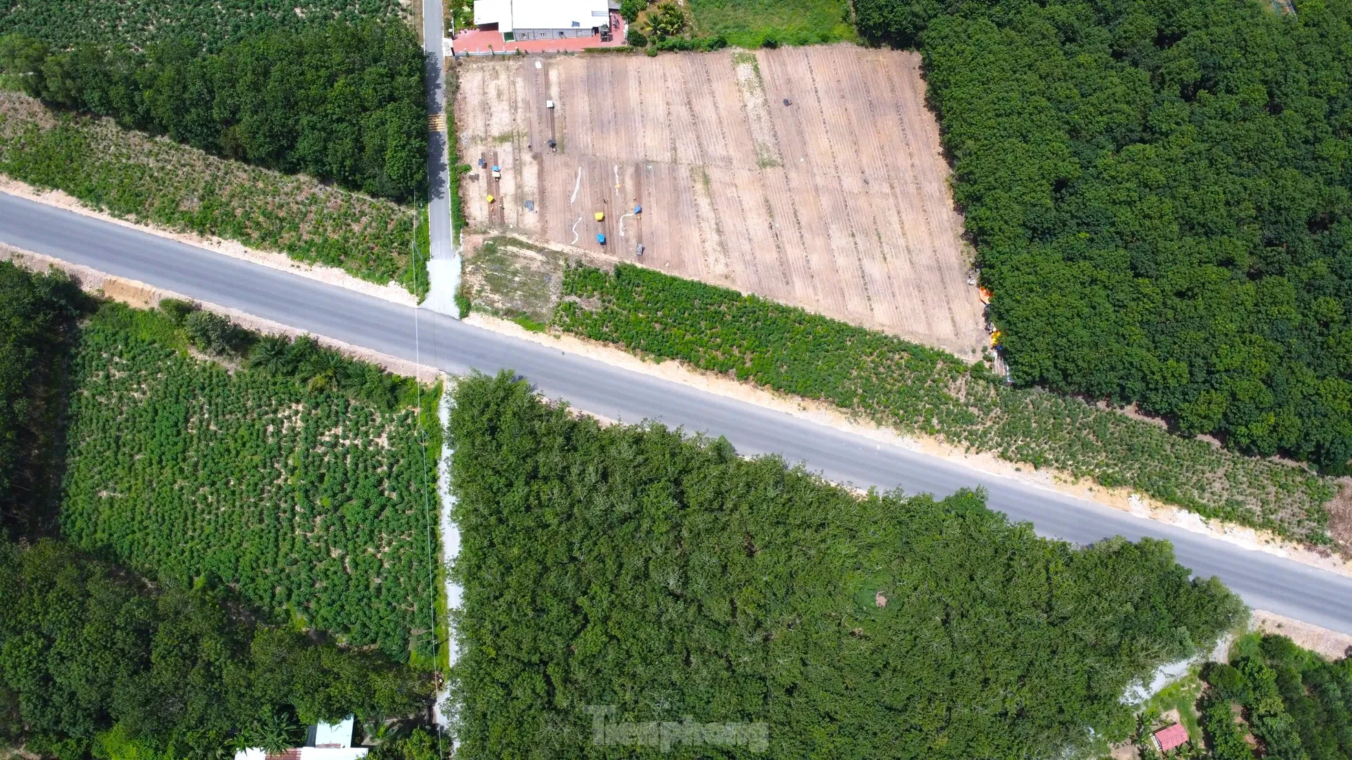 Ngắm tuyến đường như dải lụa xuyên rừng nối các tỉnh, thành miền Đông Nam bộ - Ảnh 11