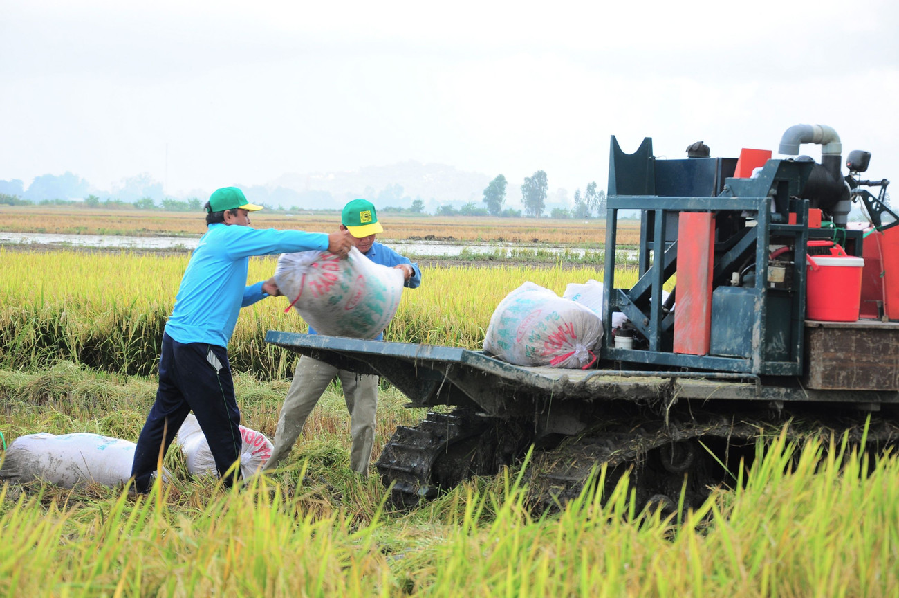 Thủ tướng giao khẩn trương gỡ khó cho các dự án trọng điểm miền Tây - Ảnh 2