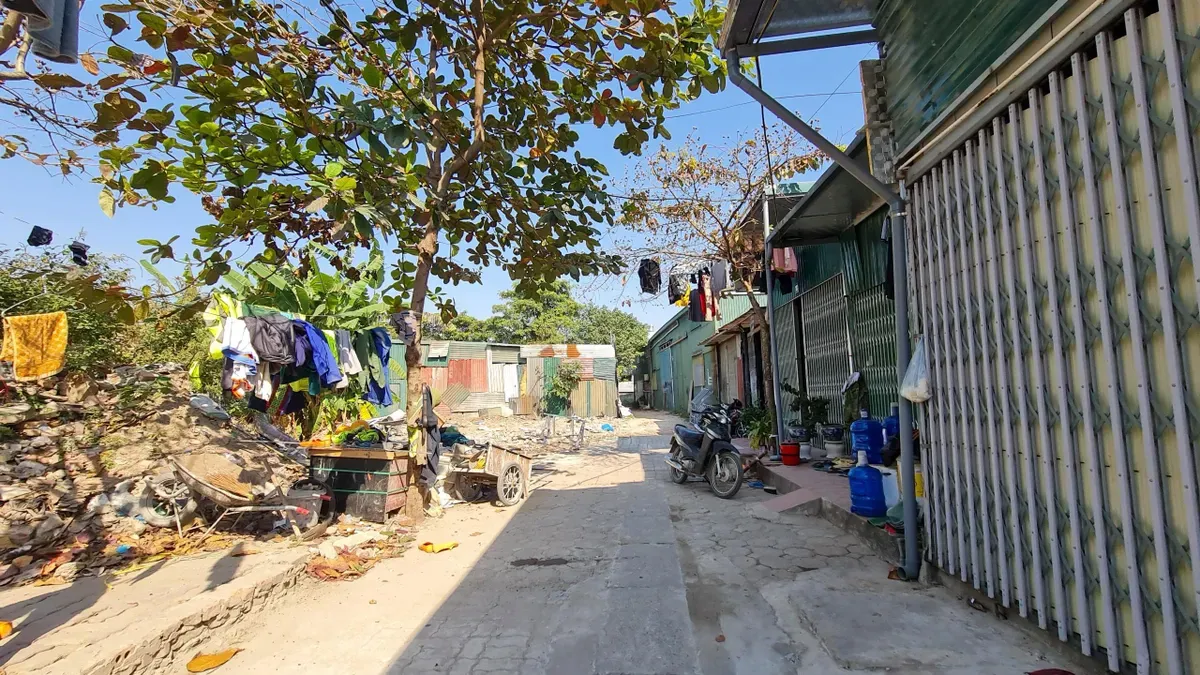 Các hồ lớn ở phường Định Công đang bị 'biến dạng' - Ảnh 5