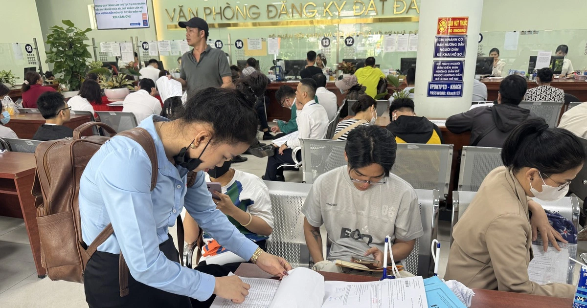 Đồ họa hướng dẫn quản lý đất đai