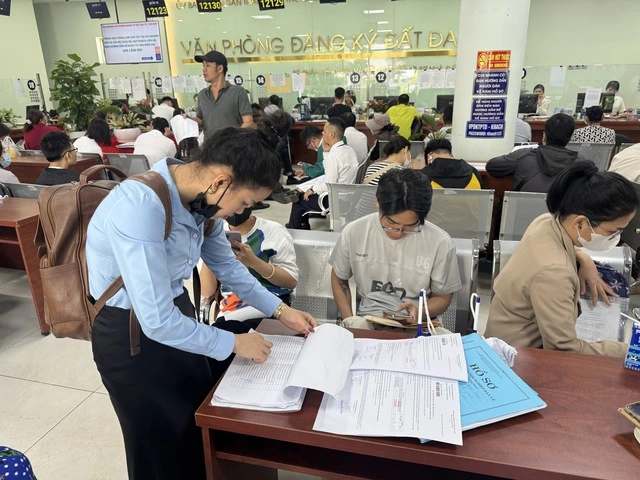 Đồ họa hướng dẫn quản lý đất đai - Ảnh 1