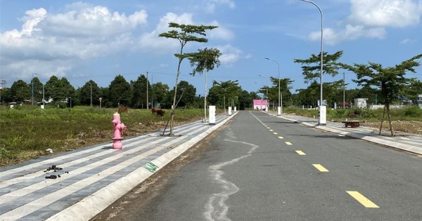 Đất nền khu vực này tăng giá sau sáp nhập