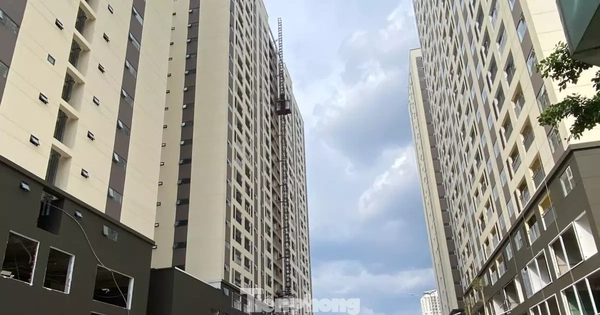 TPHCM rút ngắn thời gian làm thủ tục pháp lý dự án nhà ở xã hội