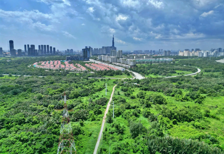Gỡ vướng pháp lý loạt dự án nghìn tỷ, nguồn thu từ đất của TP.HCM cao kỷ lục - Ảnh 1