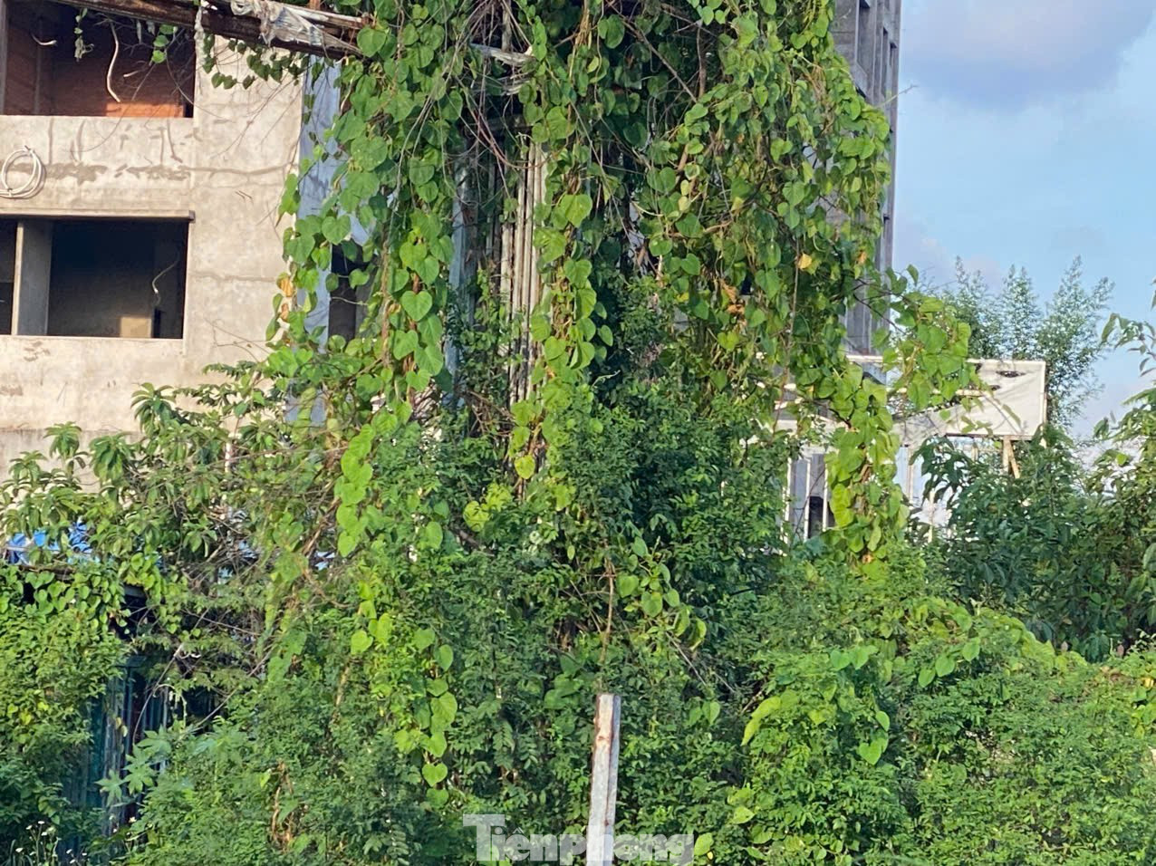 Cảnh tả tơi ở dự án Kingsway Tower, lừa bán cho gần 500 khách hàng - Ảnh 2
