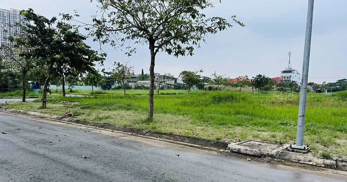 TP.HCM kiến nghị gỡ khó cho đất công