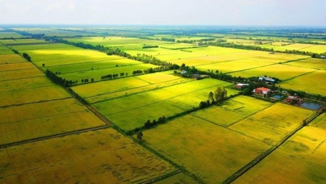 Đề xuất giảm tiền sử dụng đất khi chuyển đổi đất vườn thành đất ở - Ảnh 1