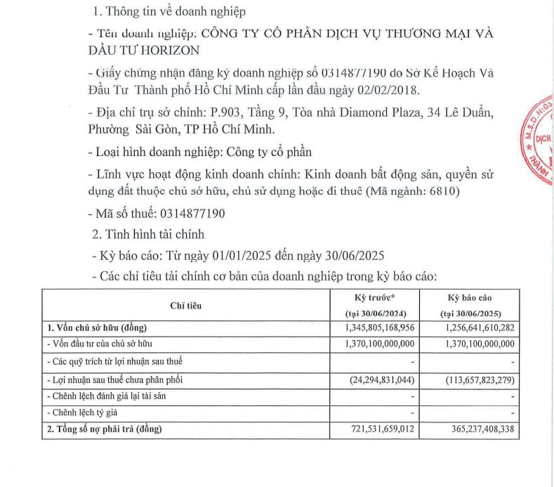 Horizon của Chủ tịch Nguyễn Quốc Hiển báo lỗ 90 tỷ đồng nửa đầu năm - Ảnh 2