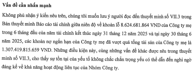 Sunbay Ninh Thuận bị kiểm toán nghi ngờ về khả năng hoạt động liên tục - Ảnh 1