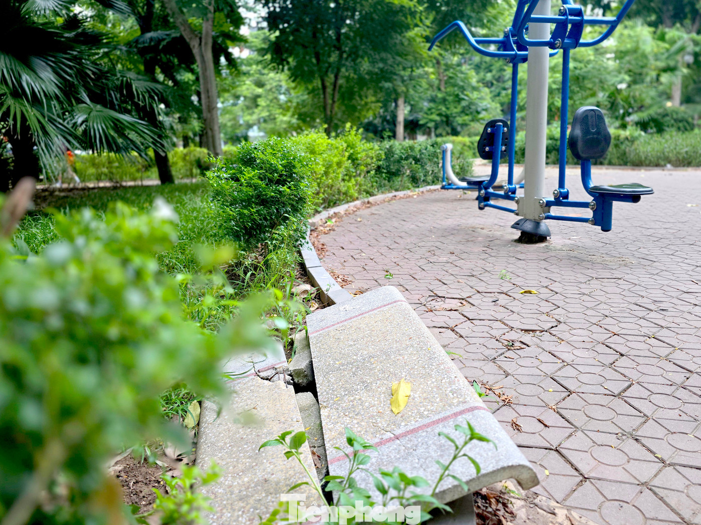 Cảnh hoang tàn, xuống cấp tại vườn hoa 52 tỷ ở Hà Nội - Ảnh 5