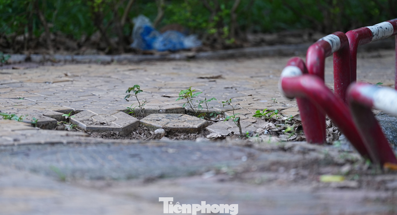 Cảnh hoang tàn, xuống cấp tại vườn hoa 52 tỷ ở Hà Nội - Ảnh 4