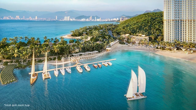Villa compound mặt biển nội đô Nha Trang: Bảo chứng đầu tư an toàn và bền vững - Ảnh 5