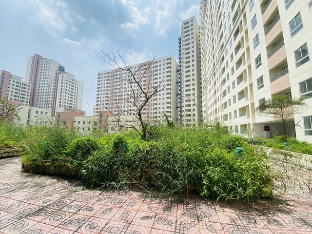 Nhiều ông lớn tham gia đấu giá căn hộ tái định cư Thủ Thiêm - Ảnh 2