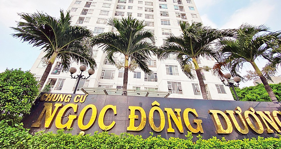 Hàng loạt chung cư TPHCM sắp được cấp sổ hồng - Ảnh 2