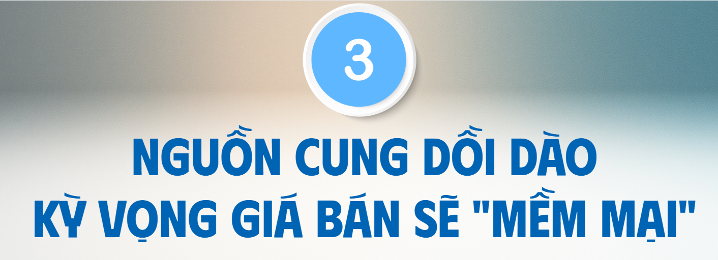 Nghịch lý giá chung cư Hà Nội cao kỷ lục, rất khó để xác định thực chất thanh khoản đến từ đâu? - Ảnh 6