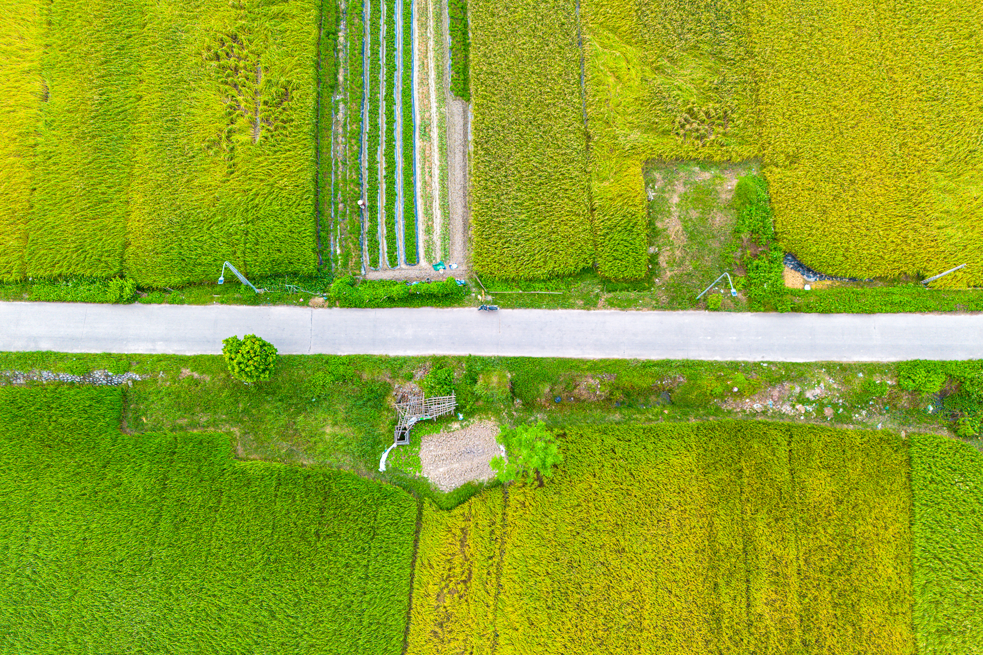 Toàn cảnh khu vực được đề xuất làm khu đô thị rộng gấp 3 lần quận Hoàn Kiếm; Nằm ở tỉnh có loạt ông lớn Vingroup, Sun Group, T&T đang đầu tư - Ảnh 5