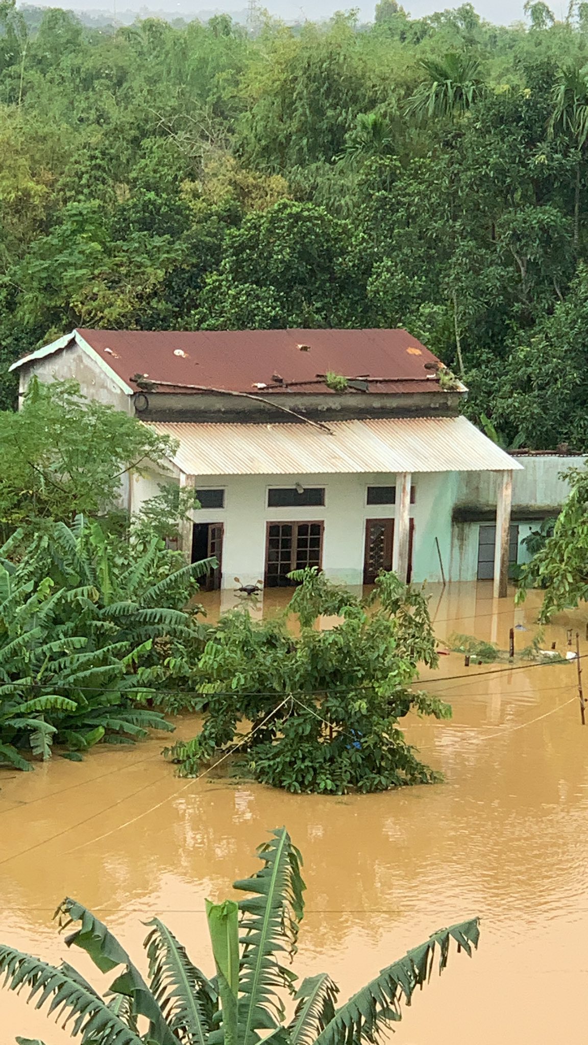 Nắng lên, hàng chục ngàn nhà dân ở Đà Nẵng vẫn ngập sâu trong lũ lịch sử - Ảnh 9