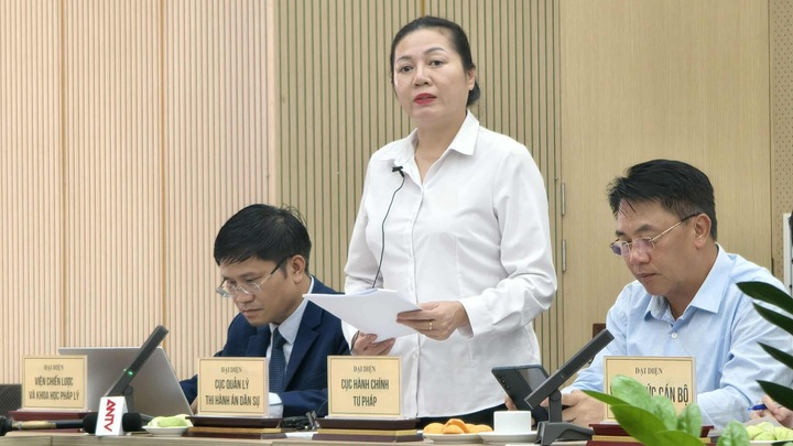 Cựu Chủ tịch FLC Trịnh Văn Quyết hoàn thành nghĩa vụ thi hành án dân sự - Ảnh 1