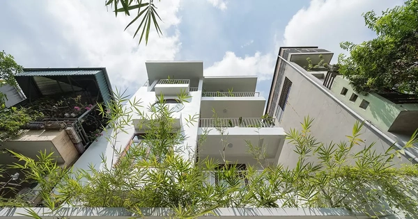Cải tạo nhà ống chật chội thành không gian sống xanh mát