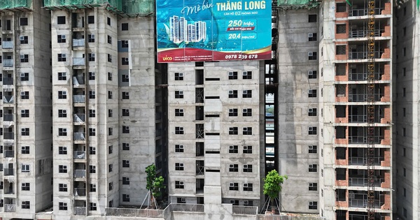 Loạt dự án nhà ở xã hội khuấy động thị trường phía Bắc TP HCM